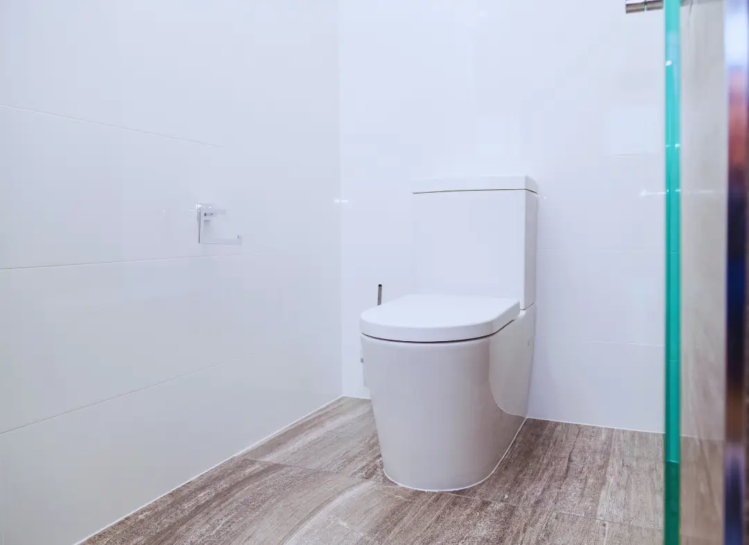 Remplacement de wc Le Coudray